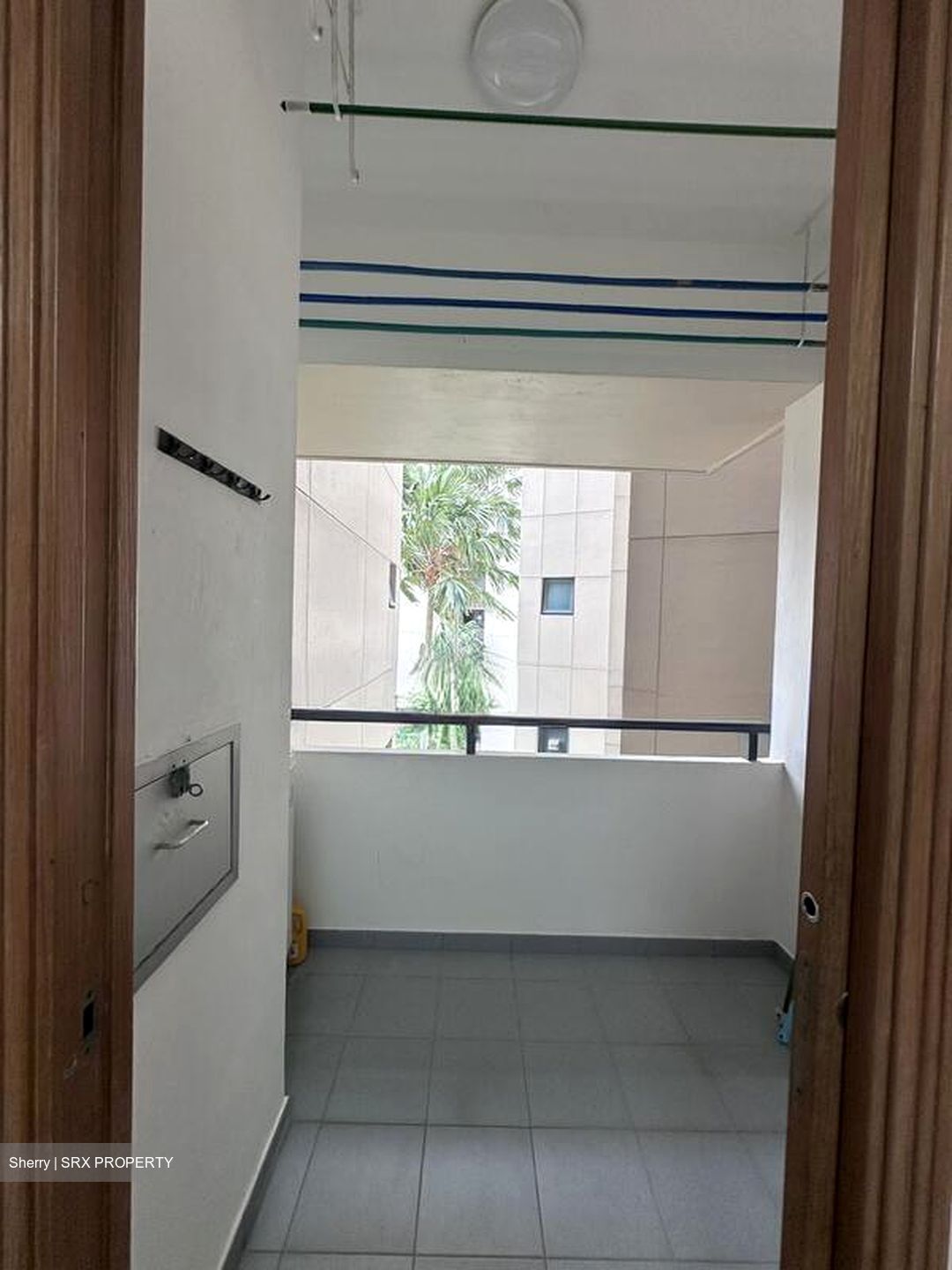 Haig Court (D15), Condominium #507116751